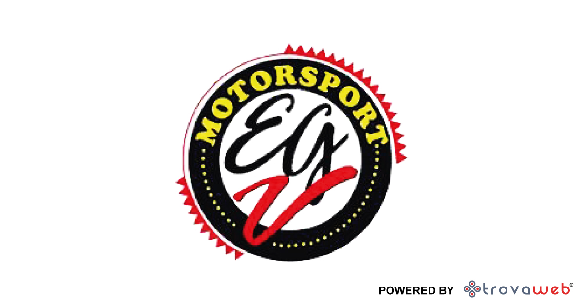 Officina Elaborazione Centraline EGV MotorSport - Macerata