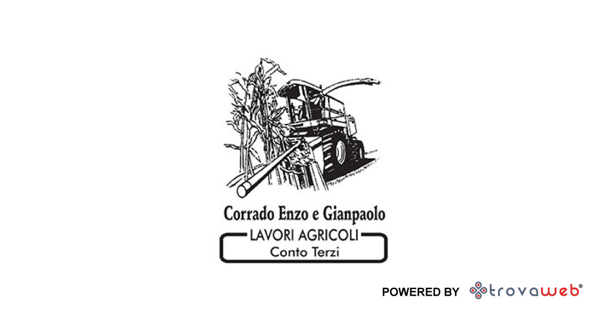 Lavori Agricoli Corrado Enzo e Gianpaolo - Tarantasca