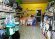 negozio-alimenti-animali-toelettatura-l-impronta-san-pietro-clarenza-catania-01.JPG