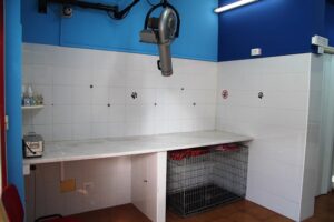 Foto attività