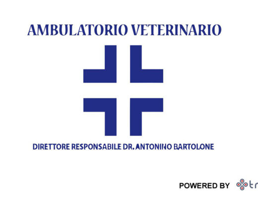 veterinario Messina
