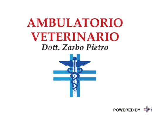 veterinario Messina