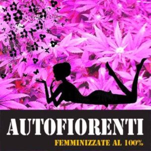 Foto attivit&agrave;