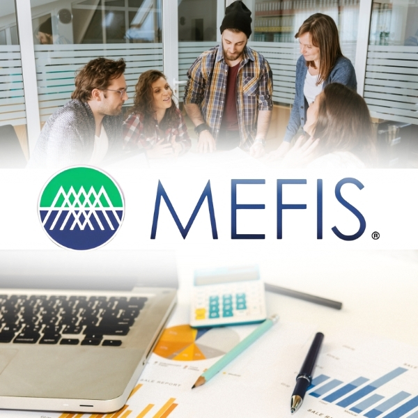 Finanziamenti per imprese e startup – MEFIS S.r.l.